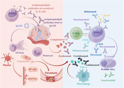 An update on the biologics for the treatment of antiphospholipid syndrome